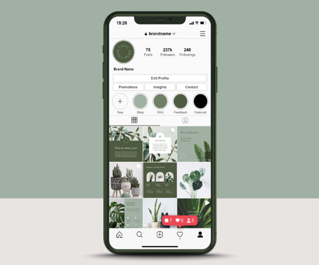 Beautiful Instagram Profile of an Online Plant Shop to display Canva Template