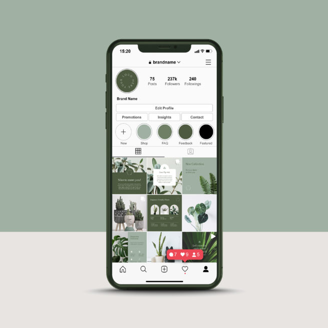 Beautiful Instagram Profile of an Online Plant Shop to display Canva Template